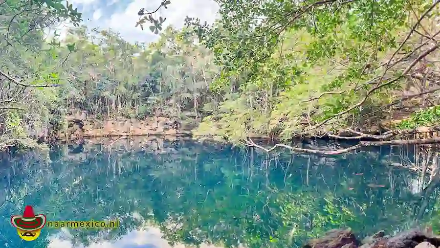 Angelita cenote wateroppervlak.