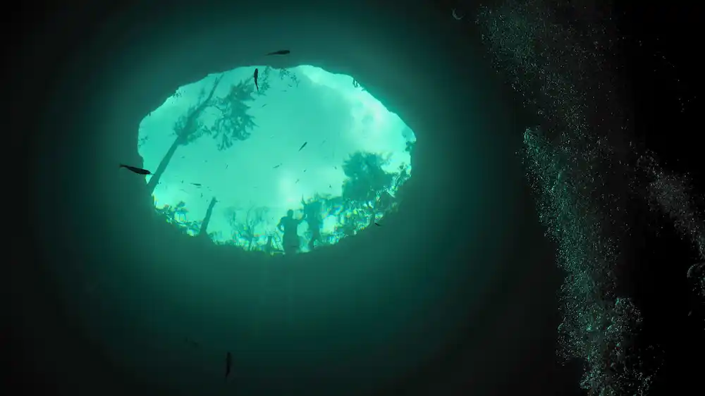 Cenote Cenote Calavera.