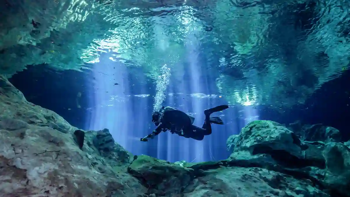 Duiker in Mexicaanse cenote.