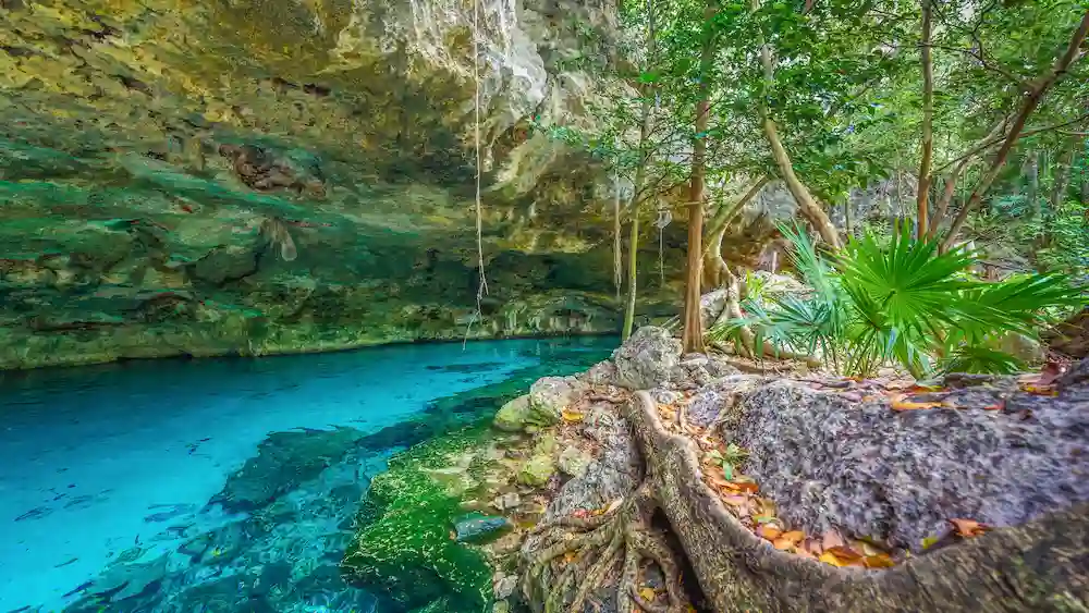 Cenote Dos Ojos.